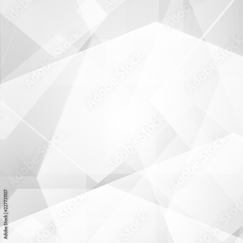 White and gray color polygon abstract vector background