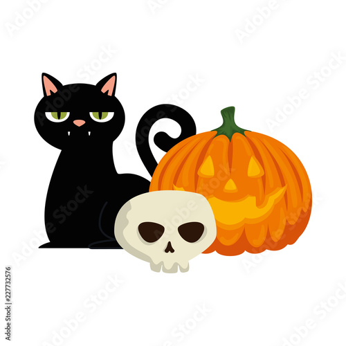 halloween black cat with skull and pumpkin