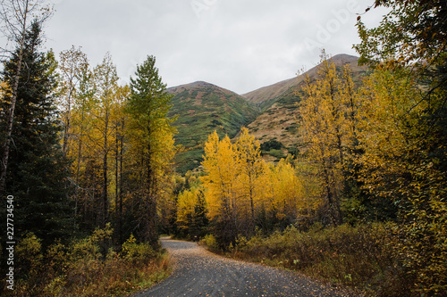 Empty road and autumn colors in the Alaskan mountains