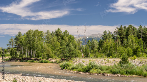 Mountain Landscape On A Sunny Summer Day.  Blue Sky, White Clouds, River Splashing Over Rocks, Trees On The Banks.  Snowy Peaks of Ivanovskiy Khrebet Ridge, Altai Mountains, Kazakhstan, In Background photo