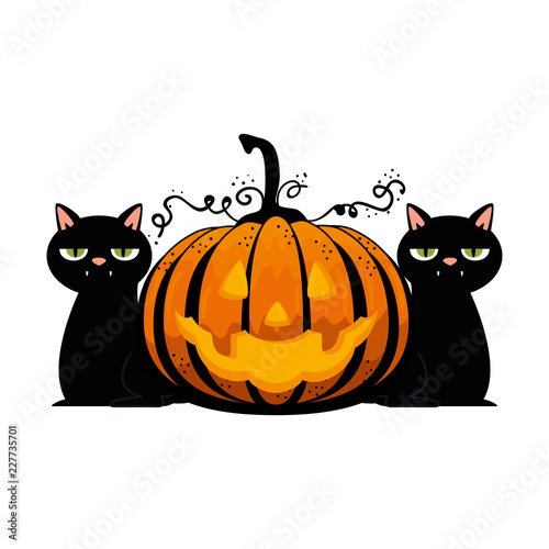 happy halloween pumpkin with black cats