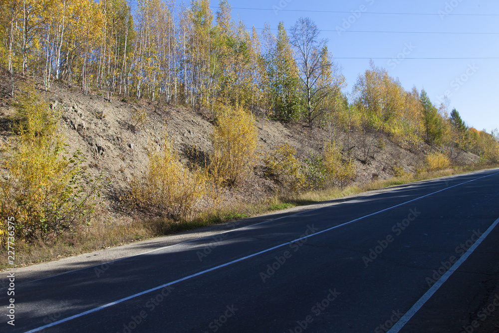 Fototapeta premium Beautiful autumn wood