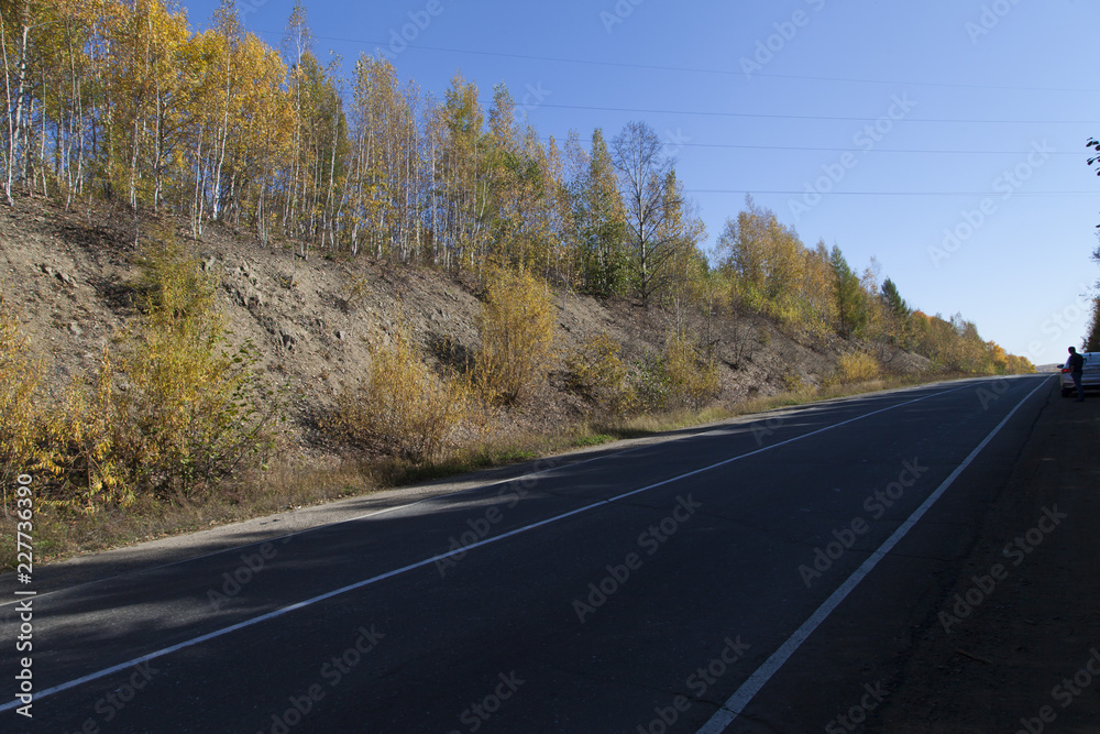 Beautiful autumn wood Beautiful autumn wood