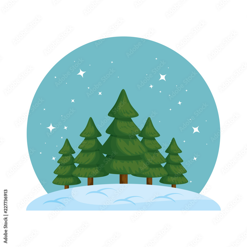 Obraz premium pines trees forest icescape scene