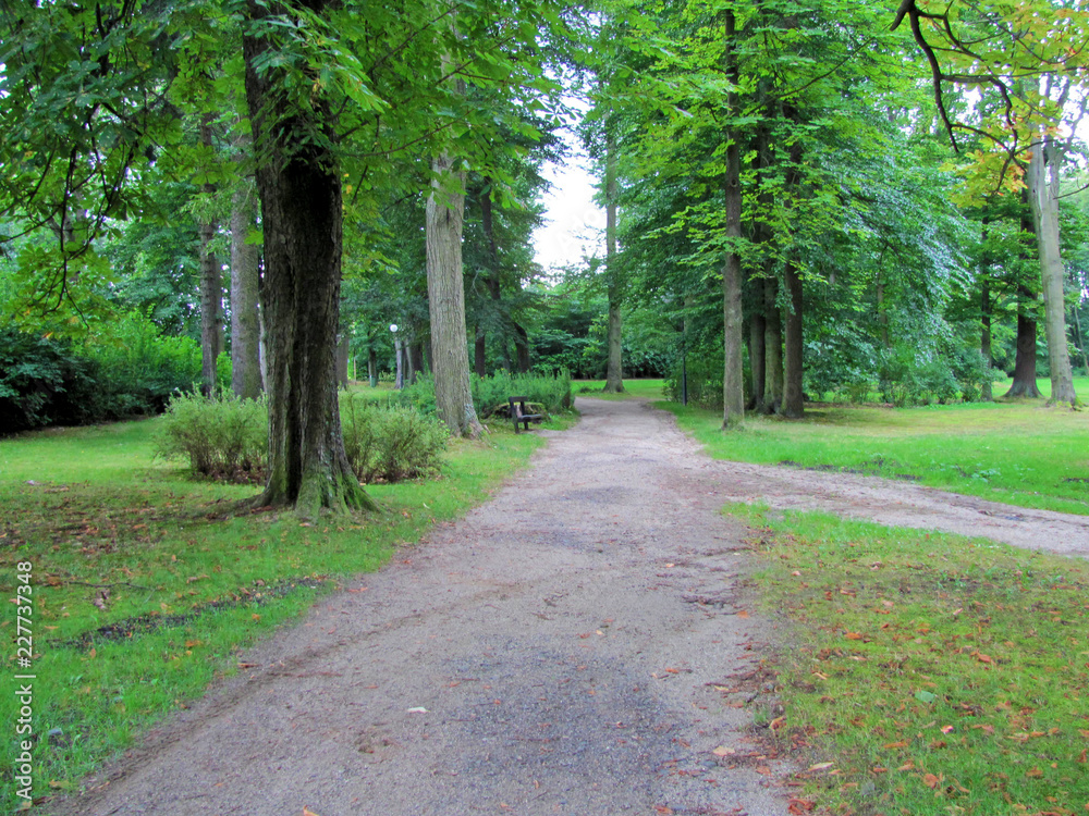 Fototapeta premium path in the park