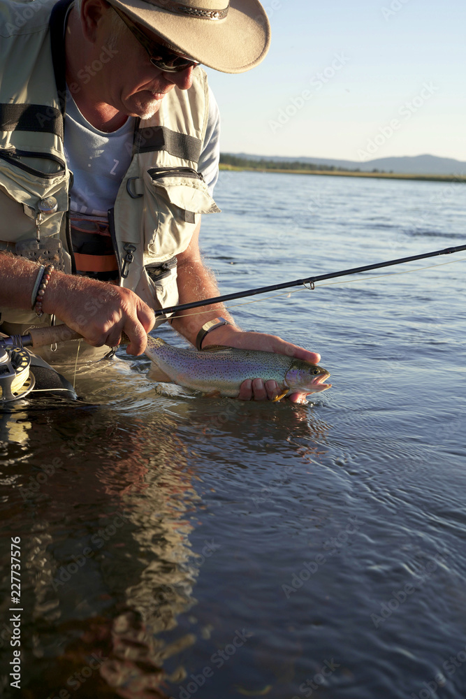 Fly fisherman catching rainbow trout in river Fly fisherman catching rainbow trout in river