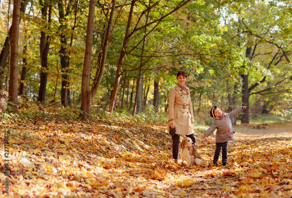 Mid age woman with little girl and beagle walking in the autumn park. Mid age woman with little girl and beagle walking in the autumn park.