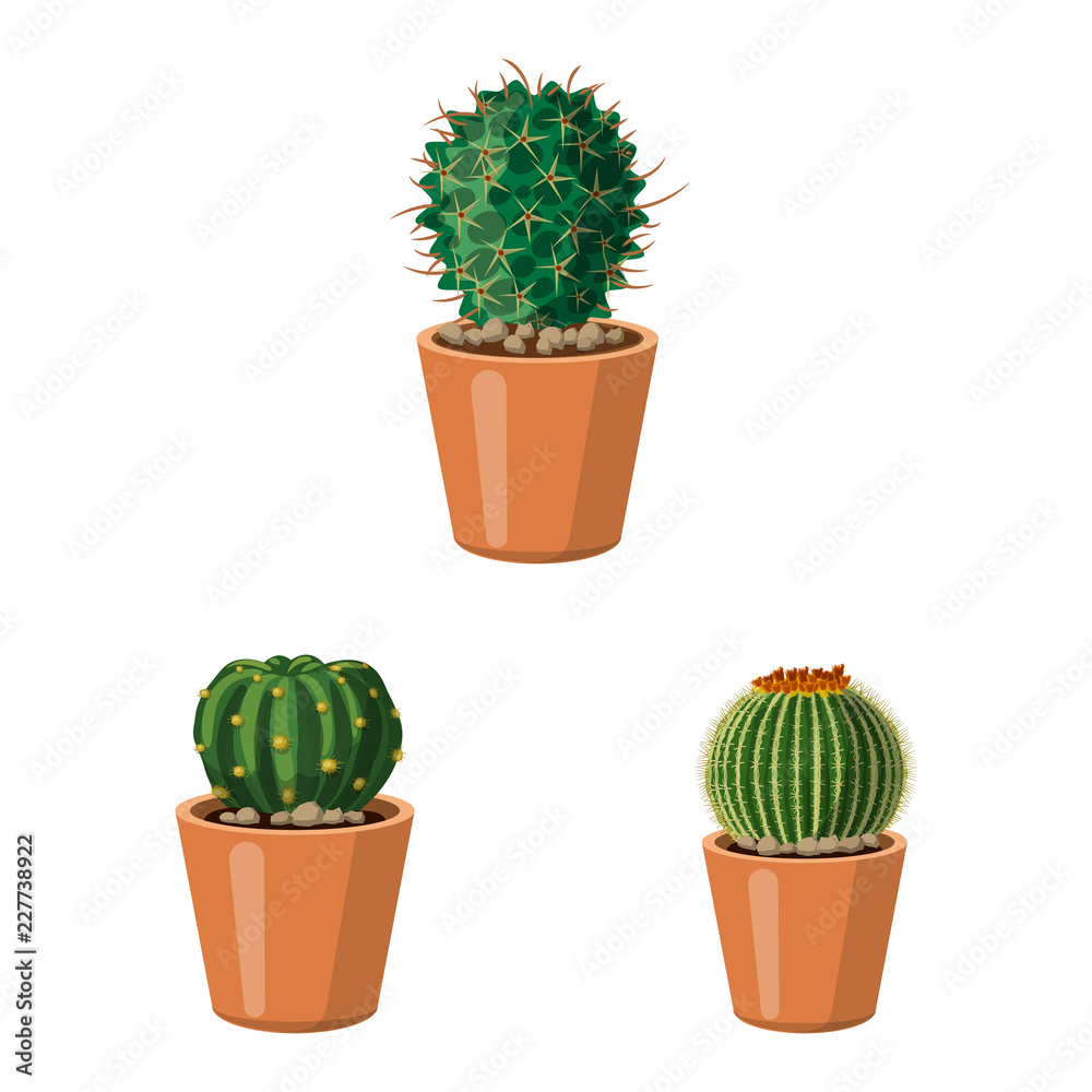 Vector illustration of cactus and pot icon. Set of cactus and cacti stock symbol for web. Vector illustration of cactus and pot icon. Set of cactus and cacti stock symbol for web.