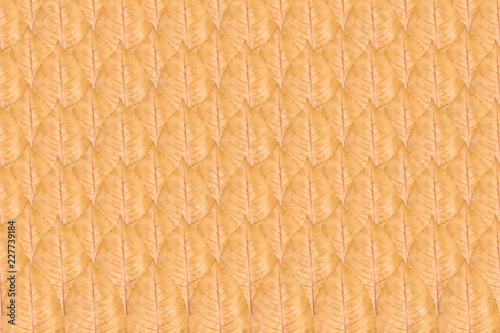 Close up of yellow autumn leaf pattern, background photo