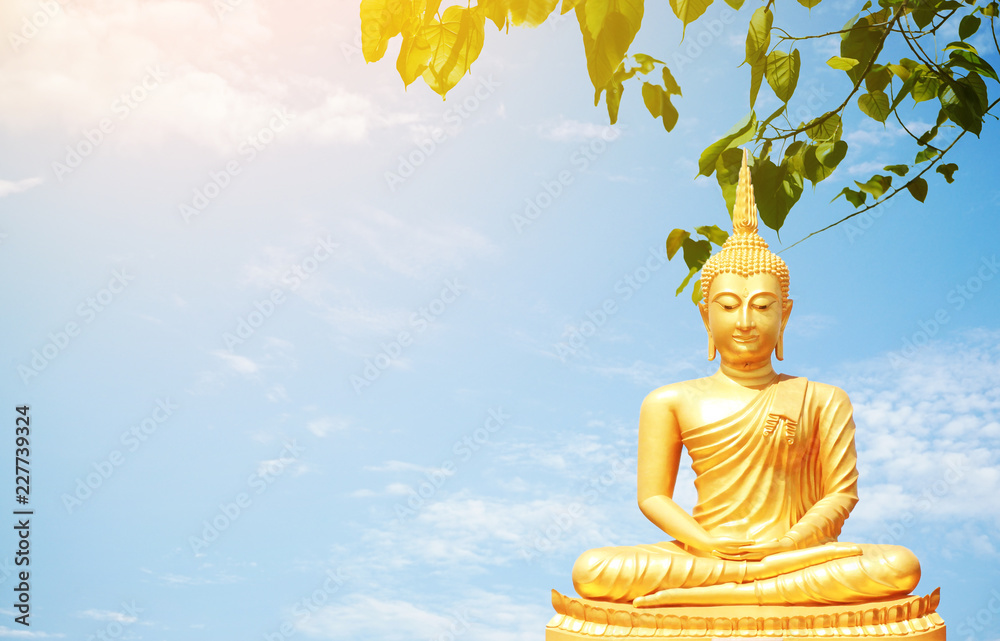 Obraz premium The golden Buddha statues under Bo leaf and blue sky background.