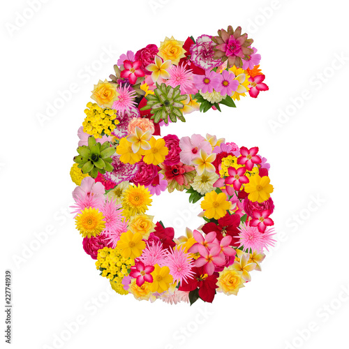 Number 6 made from flower isolated on white background. Whit clipping path