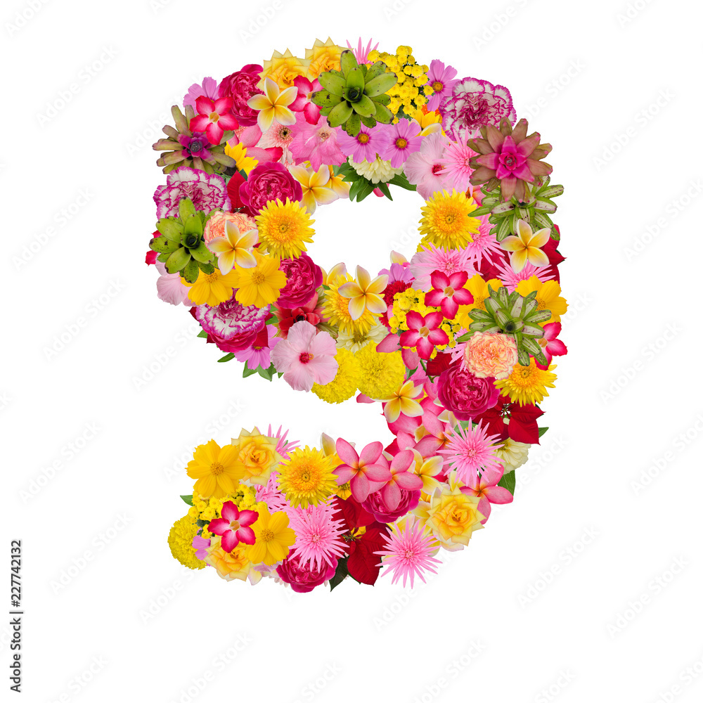 Number 9 made from flower isolated on white background. Whit clipping path Number 9 made from flower isolated on white background. Whit clipping path