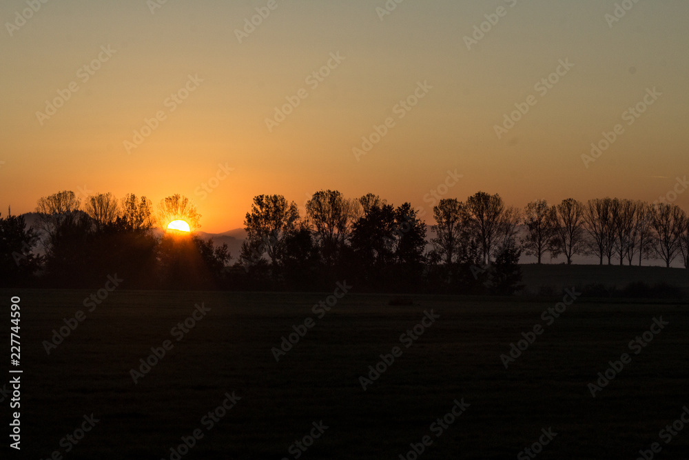 Obraz premium sunset in forest