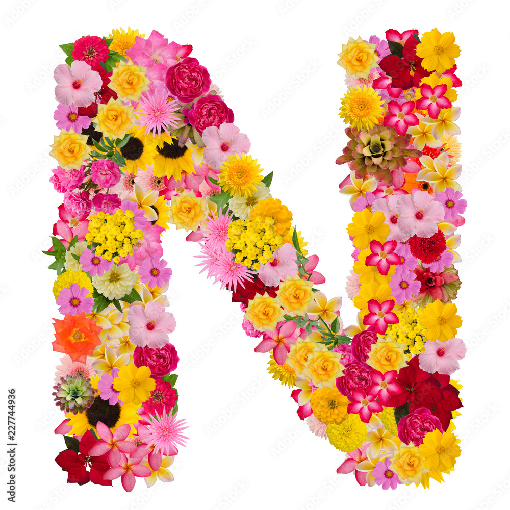 Letter N alphabet with flower ABC concept type as logo isolated on ...