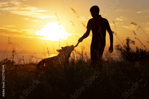 silhouette of a man walking with a dog on the field at sunset, boy playing with pet outdoors, concept of happy pastime and friendship with animals