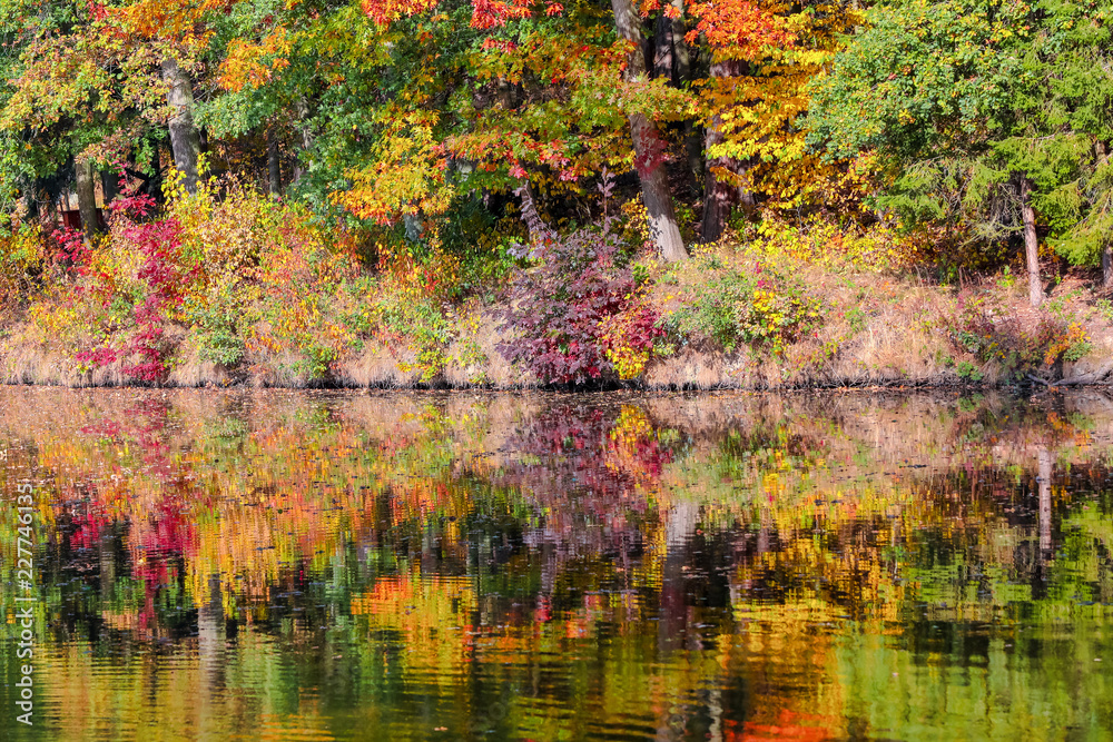 autumn colored trees reflection in water autumn colored trees reflection in water