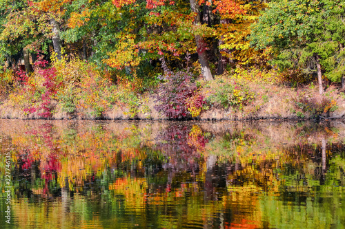 autumn colored trees reflection in water