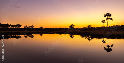 Reflective landscape during sunset