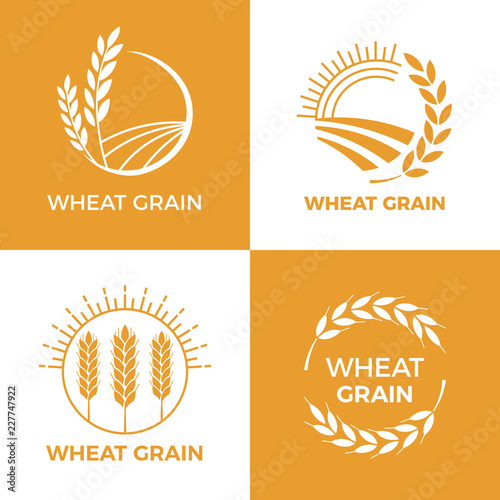 Baked wheat logo. Field wheats grain label, bake elements. Food baking insignia vector illustration set