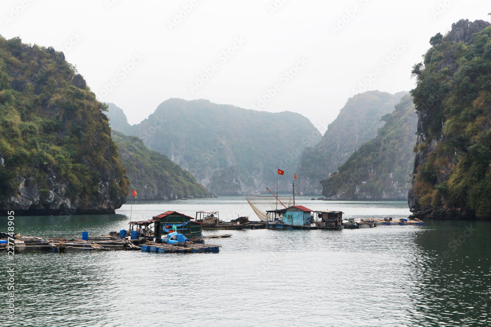 Local fishermen`s boats at Cat Ba island in Ha Long bay, Vietnam