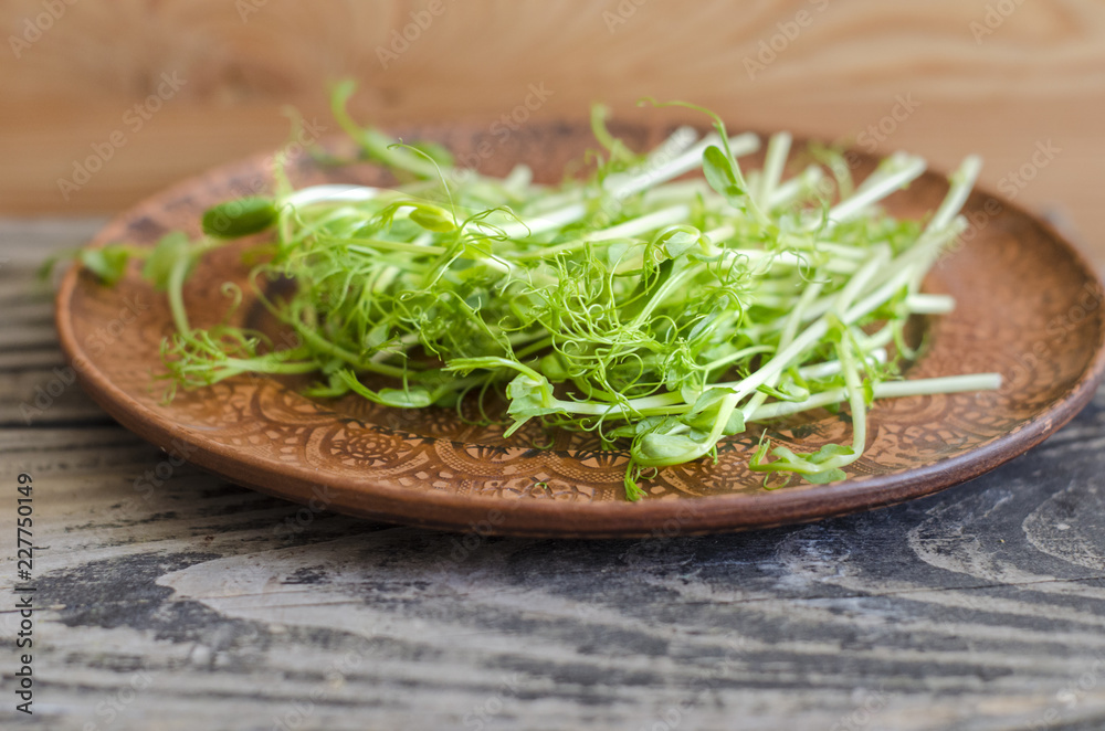 Seedlings of peas on an earthenware plate. Seedlings of peas on an earthenware plate.