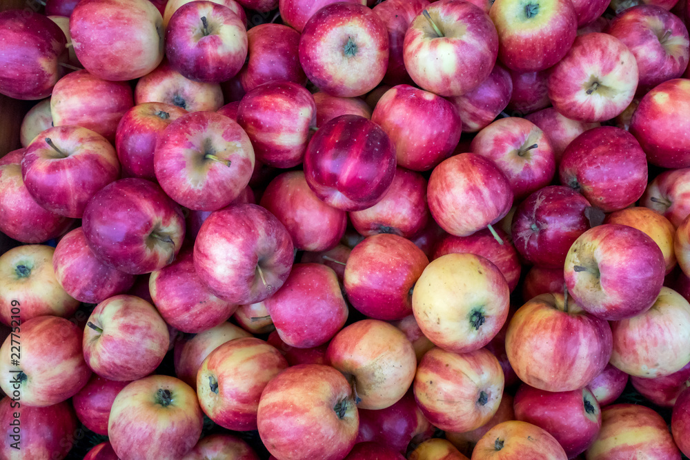 a lot of Pink Lady apple at market place,background apples a lot of Pink Lady apple at market place,background apples