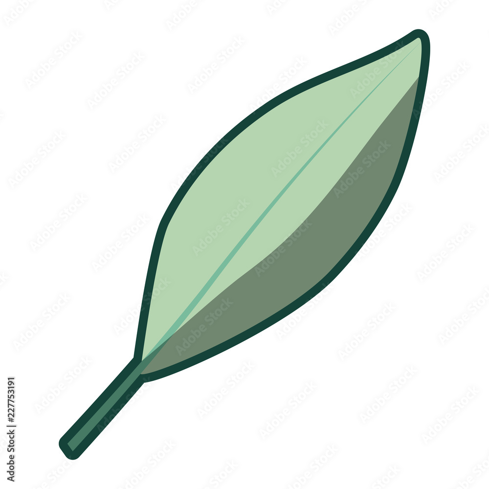 colorful thick contour of stem with leaf in closeup colorful thick contour of stem with leaf in closeup