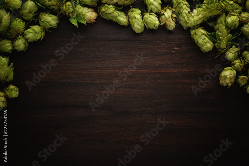 Oktoberfest concept with green hops on wood background top view with copy space