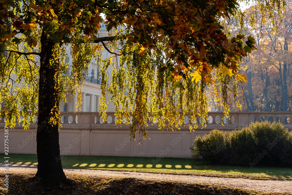 Naklejka premium Jesień w parku Branickich, Polska, Podlasie, Białystok