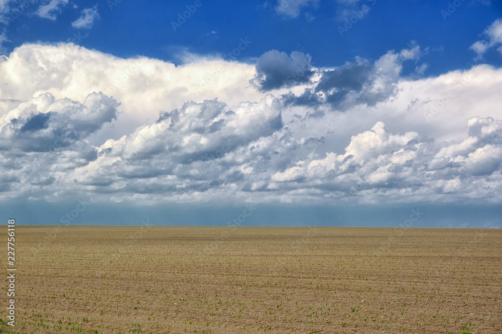 Countryside landscape with agriculture on field and clouds on summer blue sky