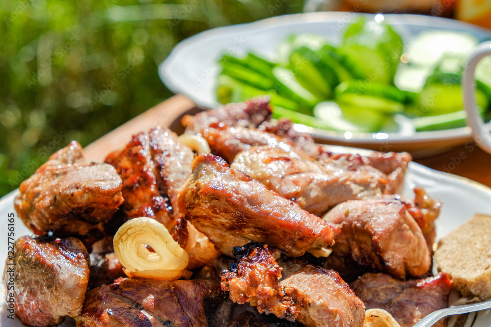 grilled barbecue pork meat with vegetables blurred on background outdoor. summer bbq concept 