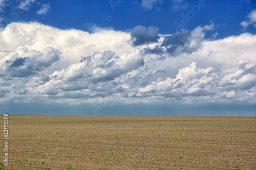 Countryside landscape with agriculture on field and clouds on summer blue sky