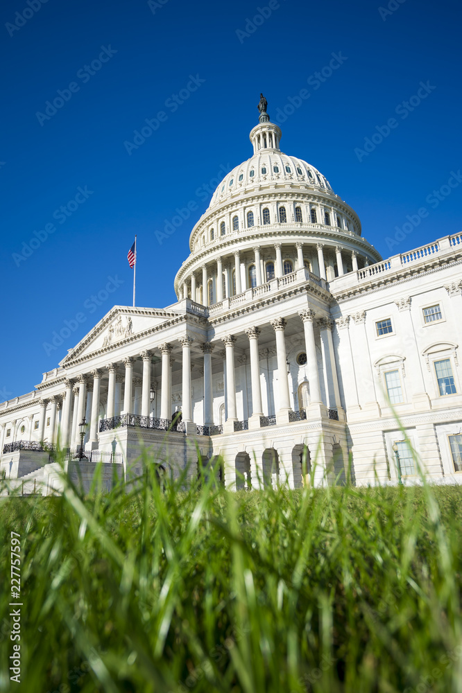 Obraz premium Portrait of the US Capitol building with fresh green grass under bright blue summer sky in Washington DC, USA