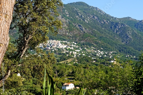 Frankreich - Korsika - Cervione photo