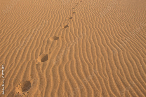 footprints in the desert sand © Rasmus