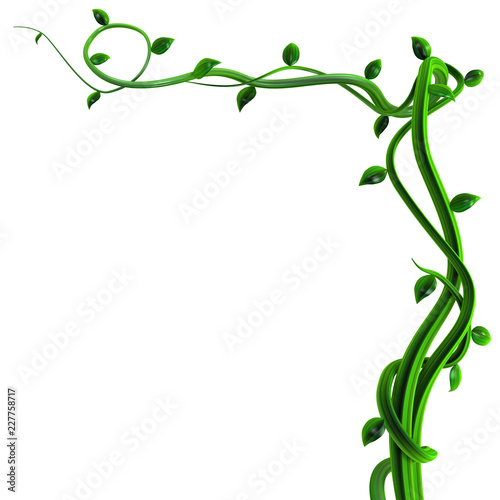 Plant Vines Green, Corner