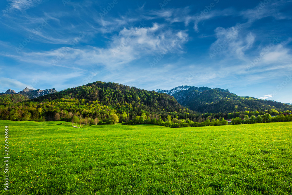 Alpine meadow in Bavaria, Germany