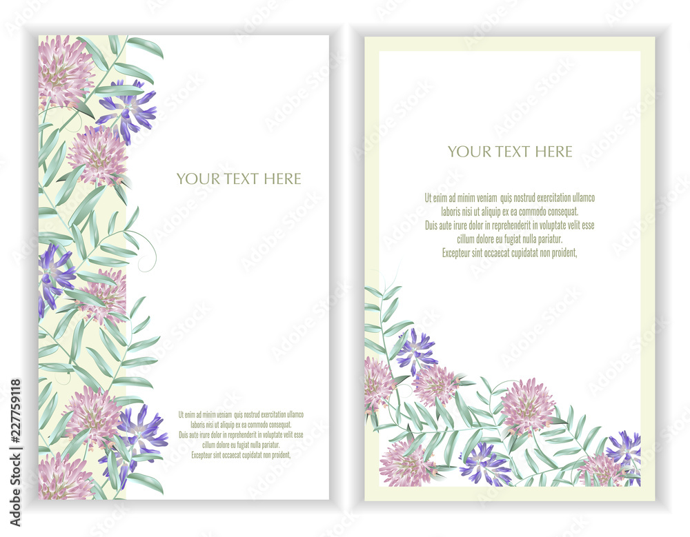 Vector banners set with Luxurious summer wild flowers.Template for greeting cards, wedding decorations, invitation ,sales. Spring or summer design. Place for text.