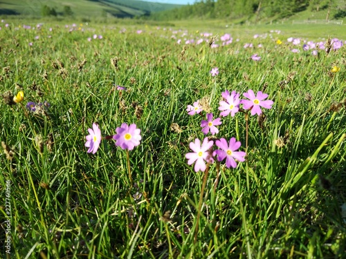 mongolia 6