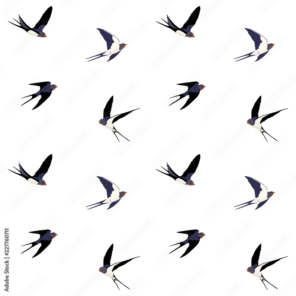 seamless birds pattern