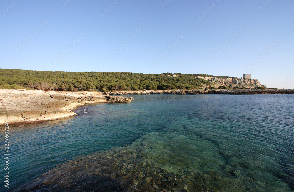 custom made wallpaper toronto digitalportoselvaggio2 Monorato