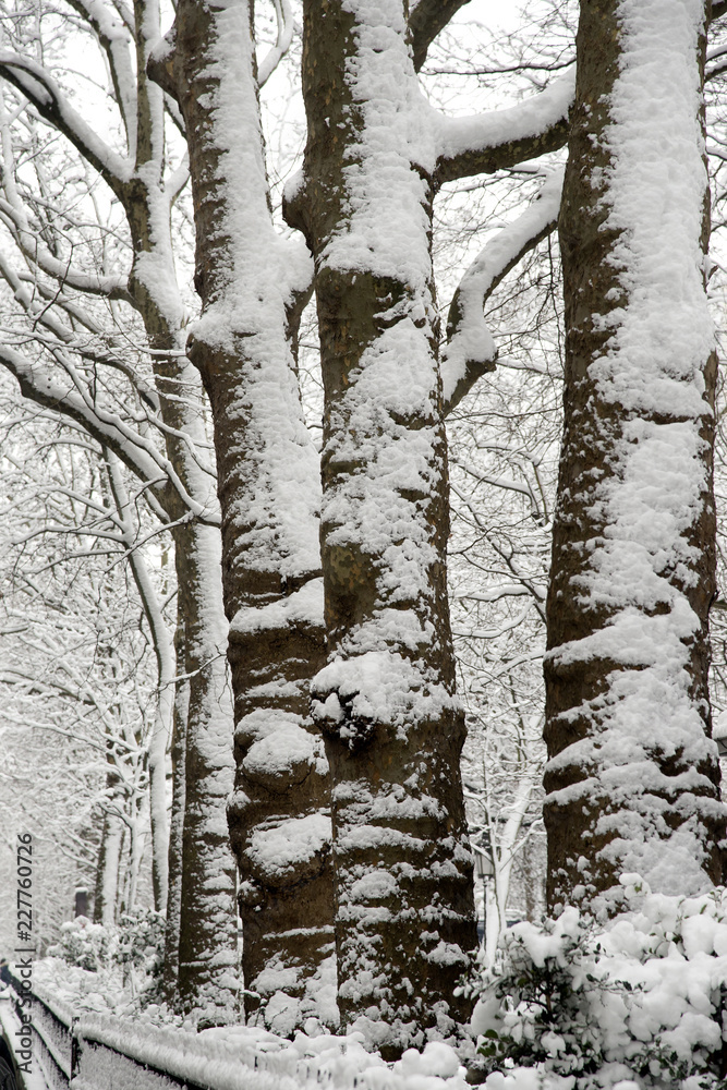 Fototapeta premium Paris sous la neige 2018