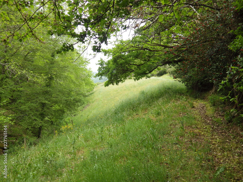 Obraz premium Prairie