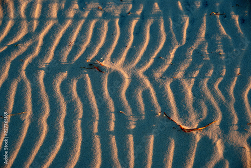 Ripples on warm sand
