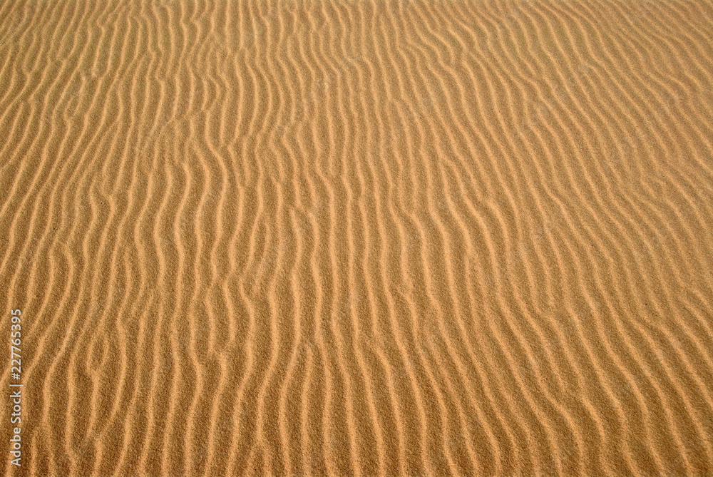 Ripples on warm sand Ripples on warm sand