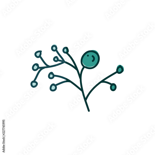 watercolor hand drawn silhouette of stem with seeds on aquamarine
