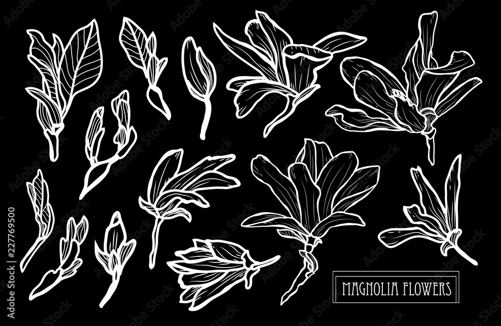 Naklejka premium hand drawn floral decoration