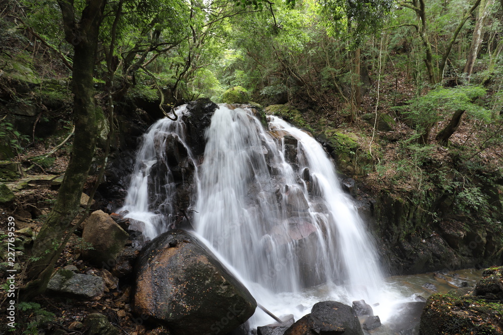 Naklejka premium 鶏鳴の滝