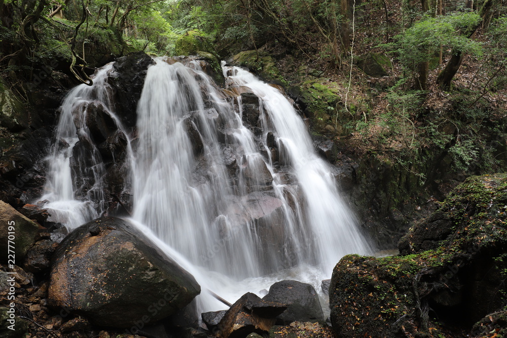 Fototapeta premium 鶏鳴の滝