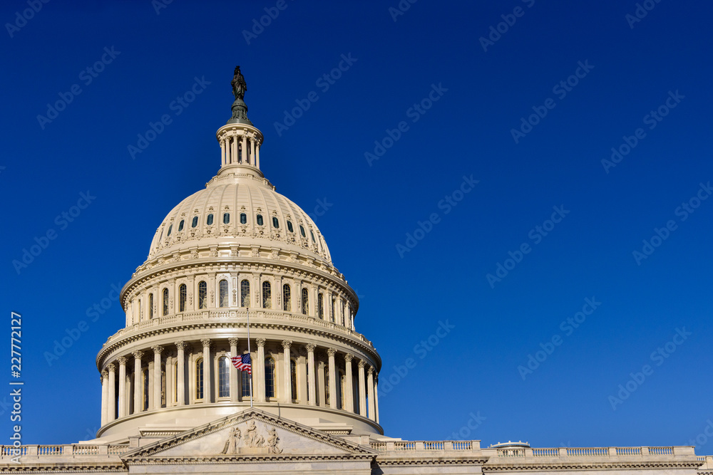 Obraz premium The Statue of Freedom with blue sky, United States Capitol, Washington DC, backround